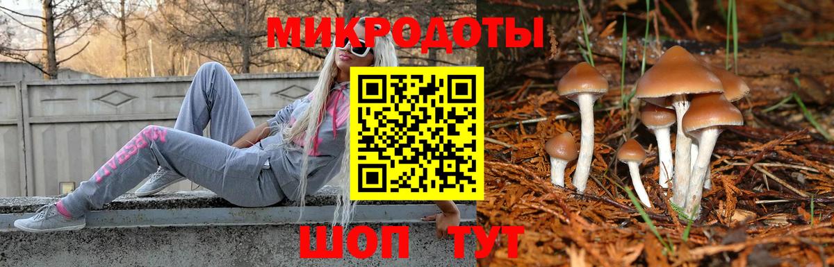 Псилоцибиновые грибы GOLDEN TEACHER Новокубанск