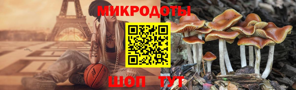 Галлюциногенные грибы Psilocybine cubensis  Вход с VPN  магазин продажи   Новокубанск 