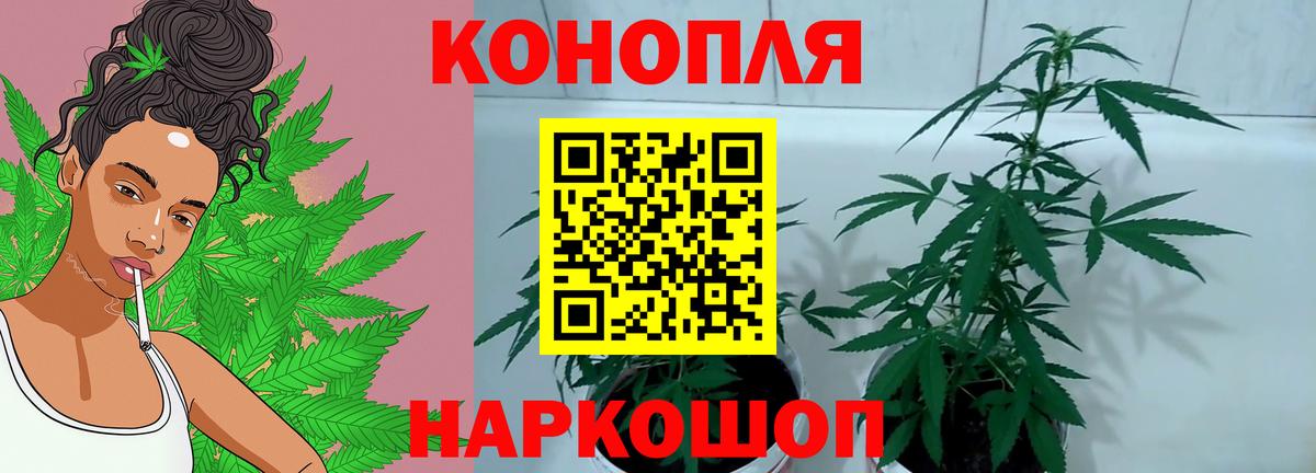 Канабис White Widow  Канабис план  Каннабис план  Вход с VPN  Новокубанск 